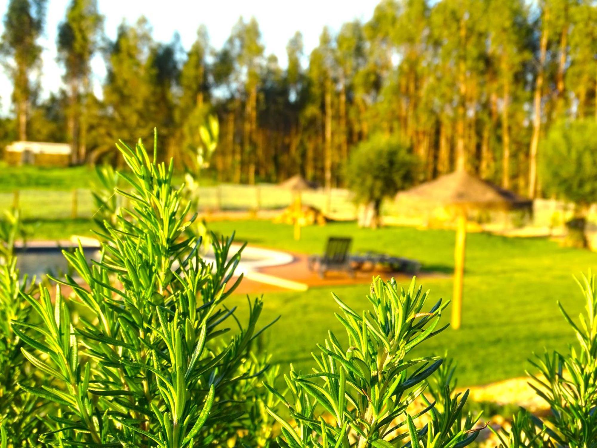 Herdade Vale De Gaios By Stay In Alentejo São Luís Buitenkant foto