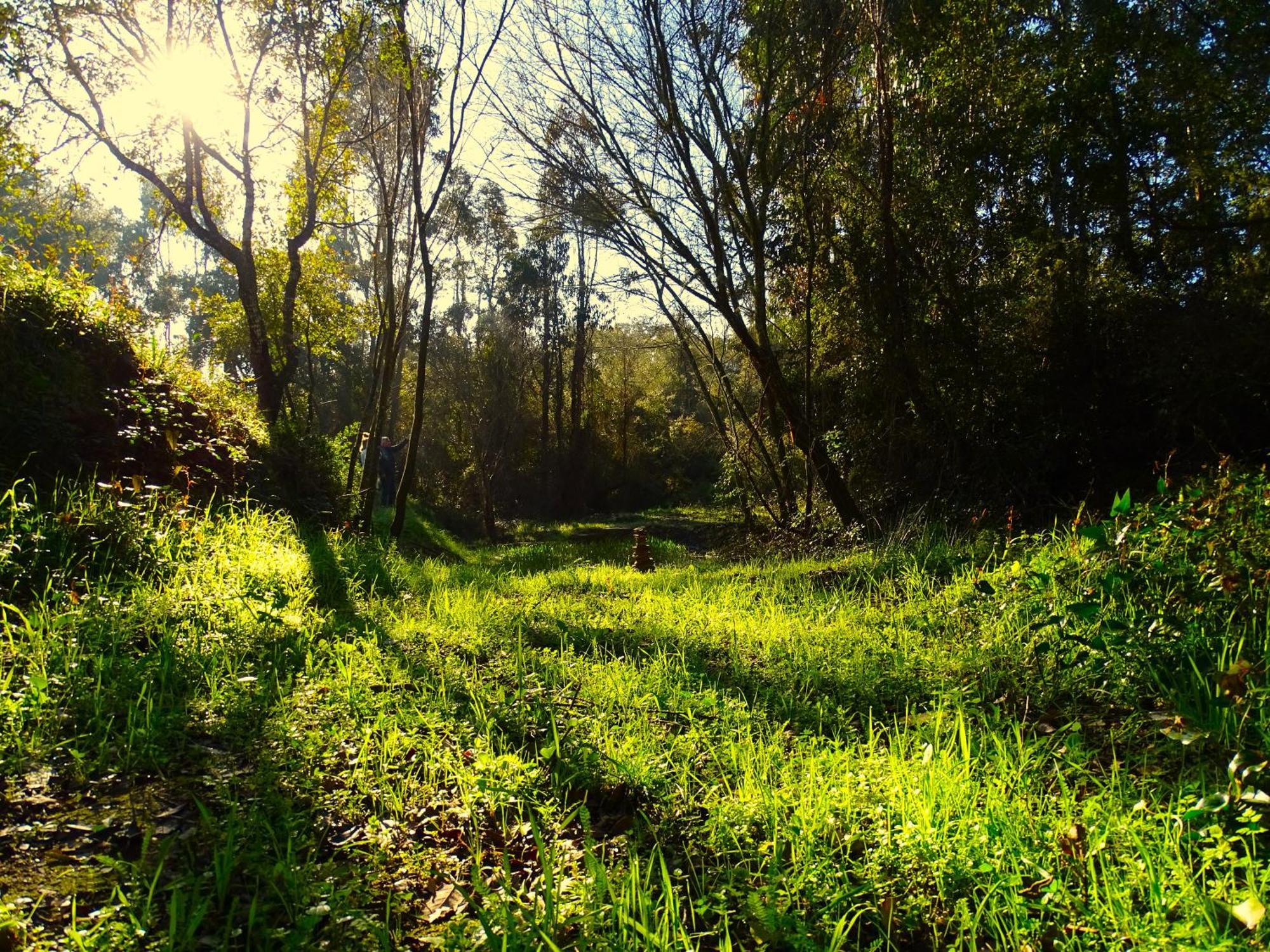 Herdade Vale De Gaios By Stay In Alentejo São Luís Buitenkant foto