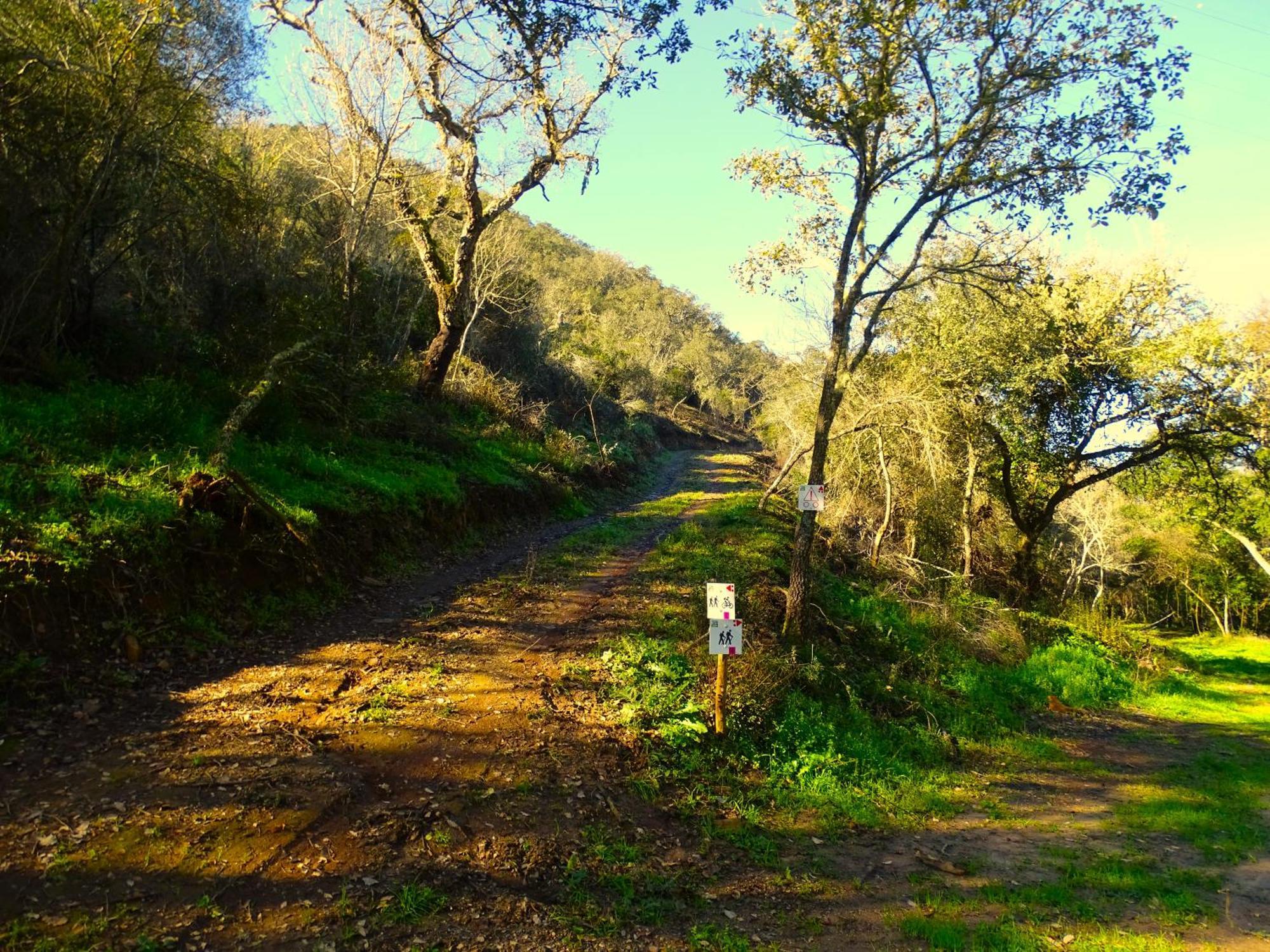 Herdade Vale De Gaios By Stay In Alentejo São Luís Buitenkant foto