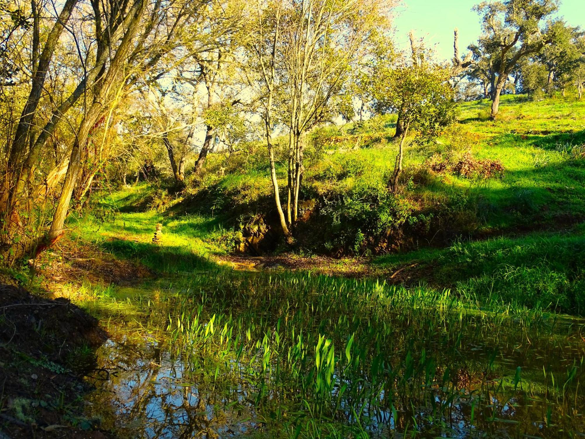 Herdade Vale De Gaios By Stay In Alentejo São Luís Buitenkant foto